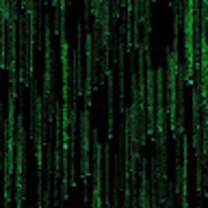 Meet your Posher, Rya